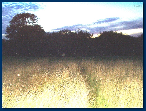 600x449 pixels (154K)